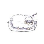 Kurzentspannungen 2 Schaf1